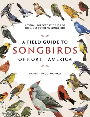 Guía de campo de las aves cantoras de Norteamérica: Un directorio visual de 100 de los pájaros cantores más populares - A Field Guide to Songbirds of North America: A Visual Directory of 100 of the Most Popular Songbirds