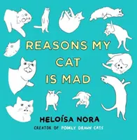 Razones por las que mi gato está loco - Reasons My Cat Is Mad