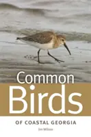 Aves comunes de la costa de Georgia - Common Birds of Coastal Georgia