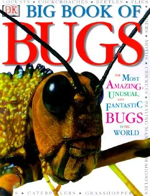 El gran libro de los bichos - Big Book of Bugs