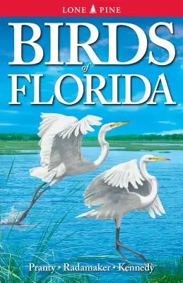 Aves de Florida - Birds of Florida