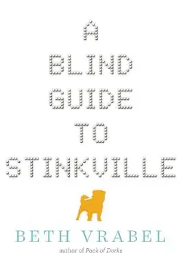 Guía a ciegas de Villa apestosa - A Blind Guide to Stinkville