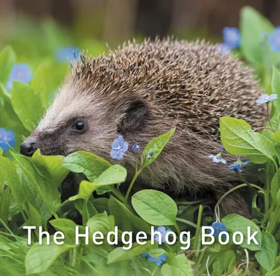 Libro del erizo - Hedgehog Book