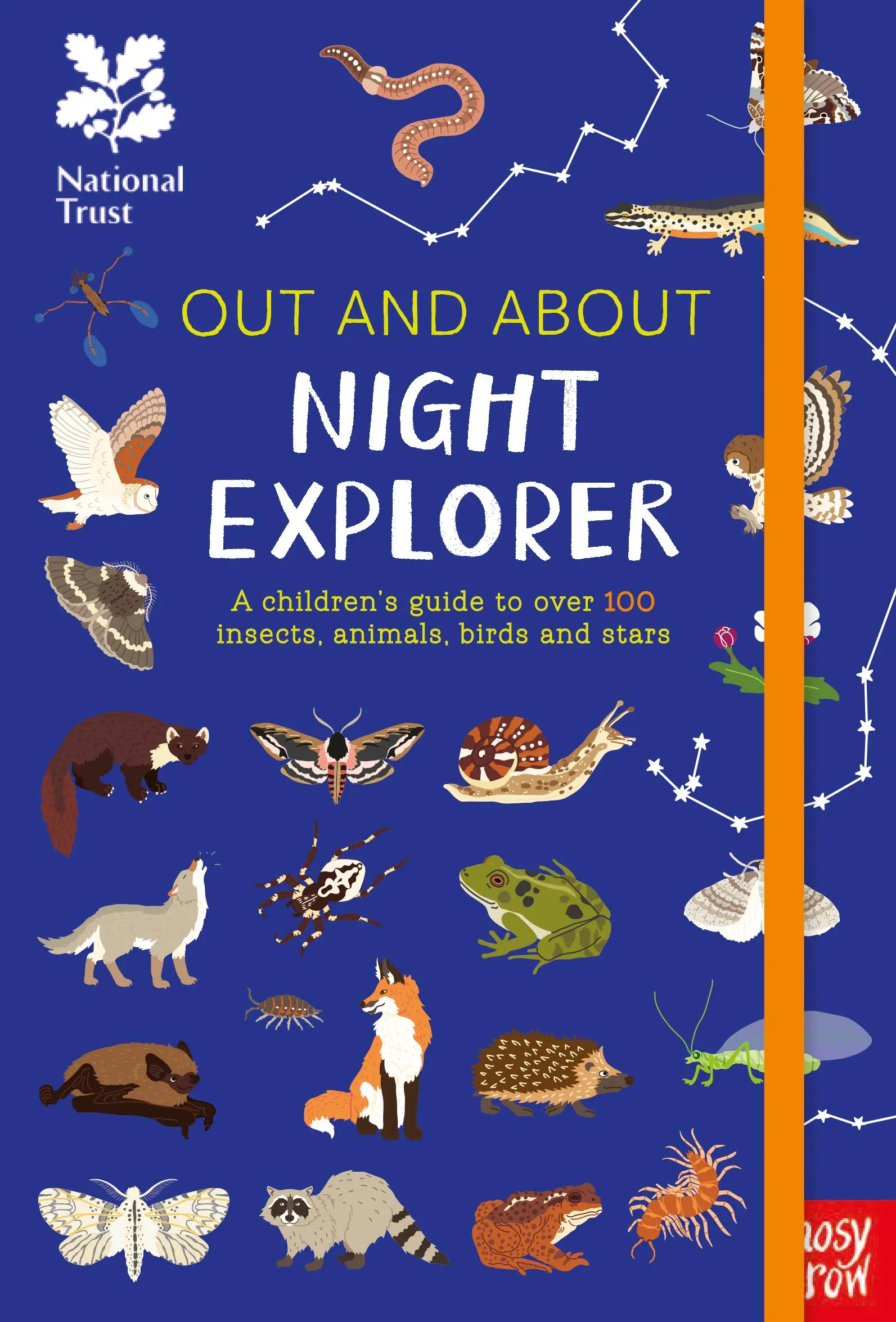 National Trust: Out and About Night Explorer - Guía infantil sobre más de 100 insectos, animales, aves y estrellas. - National Trust: Out and About Night Explorer - A children's guide to over 100 insects, animals, birds and stars