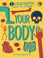 Infografía: Cómo funciona: Tu cuerpo - Infographic: How It Works: Your Body