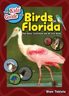 Guía infantil de las aves de Florida: Datos curiosos, actividades y 87 aves interesantes - The Kids' Guide to Birds of Florida: Fun Facts, Activities and 87 Cool Birds