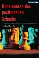 Geheimnisse Des Positionellen Schachs