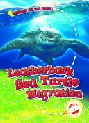 La migración de las tortugas laúd - Leatherback Sea Turtle Migration