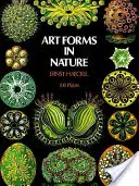 Formas de arte en la naturaleza - Art Forms in Nature