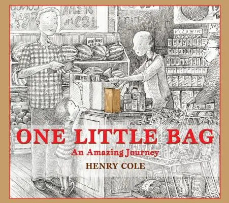 Una pequeña bolsa: Un viaje alucinante - One Little Bag: An Amazing Journey