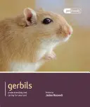 Jerbos: Cómo entender y cuidar a su mascota - Gerbils: Understanding and Caring for Your Pet