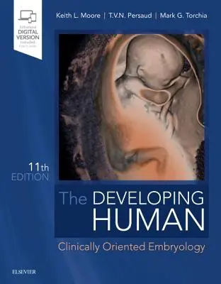 El desarrollo humano - Embriología con orientación clínica - Developing Human - Clinically Oriented Embryology