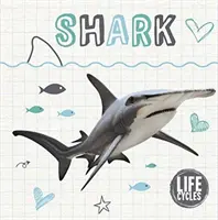 Ciclo de vida de un tiburón - Life Cycle of a Shark