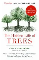 La vida oculta de los árboles - Qué sienten, cómo se comunican - Hidden Life of Trees - What They Feel, How They Communicate