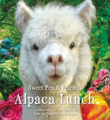 Almuerzo de alpacas - Alpaca Lunch