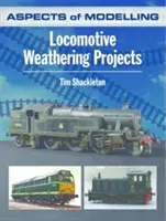 Aspectos del modelismo: Proyectos de envejecimiento de locomotoras - Aspects of Modelling: Locomotive Weathering Projects