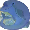 Delfín de bolsillo - Pocket Dolphin