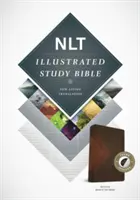 Biblia de estudio ilustrada-NLT - Illustrated Study Bible-NLT