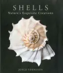 Conchas: Exquisitas creaciones de la naturaleza - Shells: Nature's Exquisite Creations