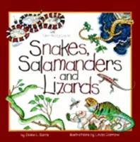 Serpientes, salamandras y lagartos - Snakes, Salamanders & Lizards