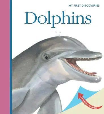 Delfines - Dolphins