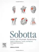 Sobotta Tablas de Músculos, Articulaciones y Nervios, Inglés - Tablas de la 15ª ed. del Atlas Sobotta - Sobotta Tables of Muscles, Joints and Nerves, English - Tables to 15th ed. of the Sobotta Atlas