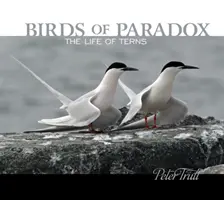 Aves paradójicas: la vida de los charranes - Birds of Paradox: The Life of Terns