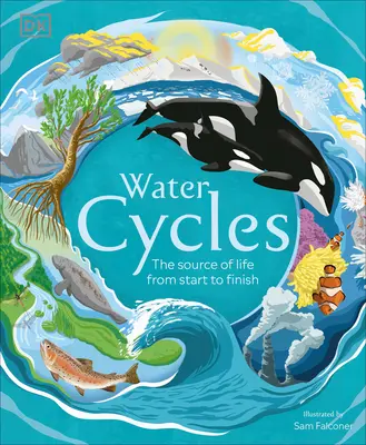 Los ciclos del agua - Water Cycles