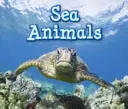 Animales marinos - Sea Animals