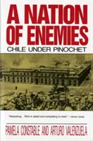 Una nación de enemigos: Chile bajo Pinochet - A Nation of Enemies: Chile Under Pinochet