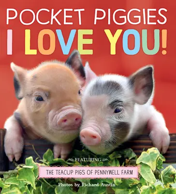 Cerditos de bolsillo: Te quiero - Pocket Piggies: I Love You!