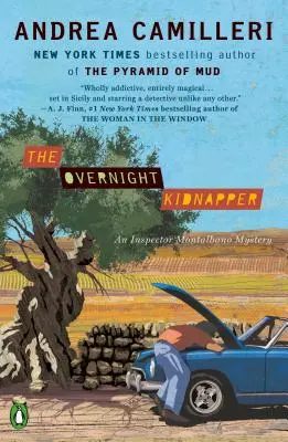 El secuestrador nocturno - The Overnight Kidnapper