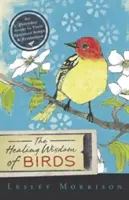 La sabiduría curativa de los pájaros: Guía cotidiana de sus cantos y simbolismos espirituales - The Healing Wisdom of Birds: An Everyday Guide to Their Spiritual Songs & Symbolism
