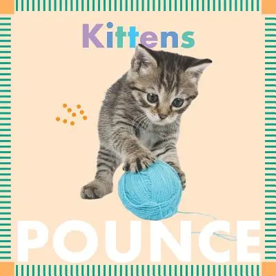 Gatitos se abalanzan - Kittens Pounce