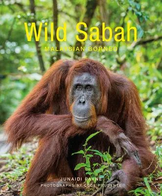 Sabah salvaje - Wild Sabah