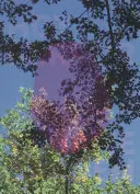 Viviane Sassen Espejo caliente - Viviane Sassen: Hot Mirror