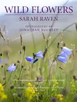 Flores silvestres de Sarah Raven - Sarah Raven's Wild Flowers