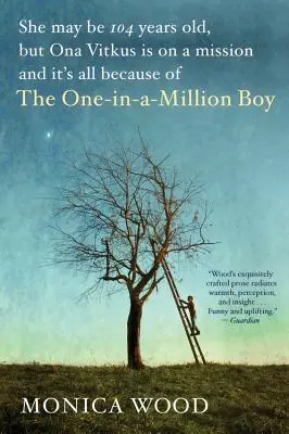 El niño del millón - The One-In-A-Million Boy