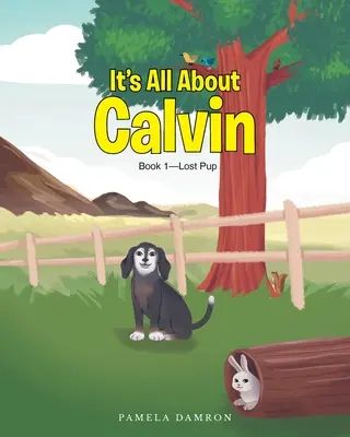 Todo sobre Calvin: Libro 1-Cachorro perdido - It's All About Calvin: Book 1-Lost Pup