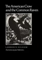 El cuervo americano y el cuervo común, 10 - The American Crow & Common Raven, 10