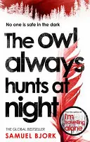 El Búho Siempre Caza de Noche - Owl Always Hunts At Night