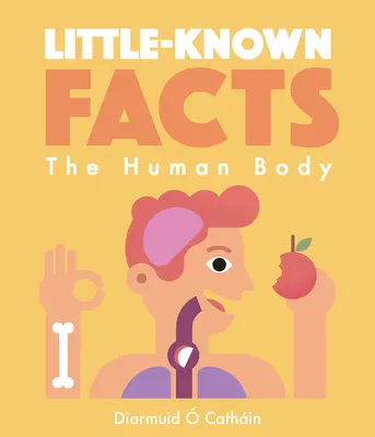 Hechos poco conocidos: Cuerpos humanos - Little-Known Facts: Human Bodies