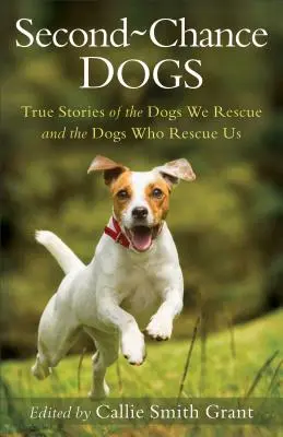 Perros de segunda oportunidad: historias reales de los perros que rescatamos y de los perros que nos rescatan - Second-Chance Dogs: True Stories of the Dogs We Rescue and the Dogs Who Rescue Us