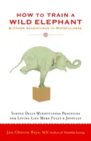 Cómo entrenar a un elefante salvaje: Y otras aventuras en Mindfulness - How to Train a Wild Elephant: And Other Adventures in Mindfulness