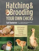 Incubar y criar sus propios pollitos: Pollos, pavos, patos, gansos y pintadas - Hatching & Brooding Your Own Chicks: Chickens, Turkeys, Ducks, Geese, Guinea Fowl