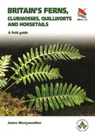 Helechos de Gran Bretaña: Guía de campo de los musgos, quillworts, colas de caballo y helechos de Gran Bretaña e Irlanda - Britain's Ferns: A Field Guide to the Clubmosses, Quillworts, Horsetails and Ferns of Great Britain and Ireland