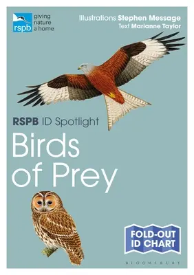 Rspb Id Spotlight - Aves de presa - Rspb Id Spotlight - Birds of Prey