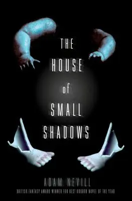 La casa de las pequeñas sombras - The House of Small Shadows