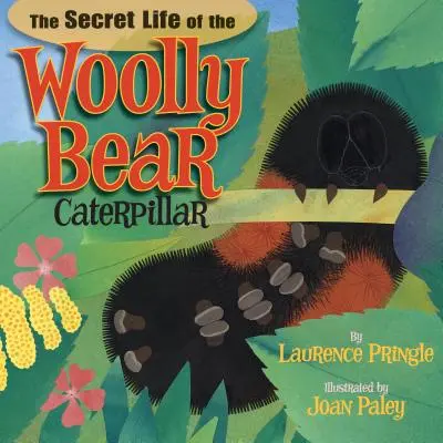 La vida secreta de la oruga lanuda - The Secret Life of the Woolly Bear Caterpillar