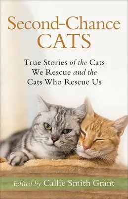 Gatos de segunda oportunidad: Historias reales de los gatos que rescatamos y de los gatos que nos rescatan - Second-Chance Cats: True Stories of the Cats We Rescue and the Cats Who Rescue Us